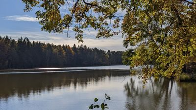 adamovský rybník - jižní čechy